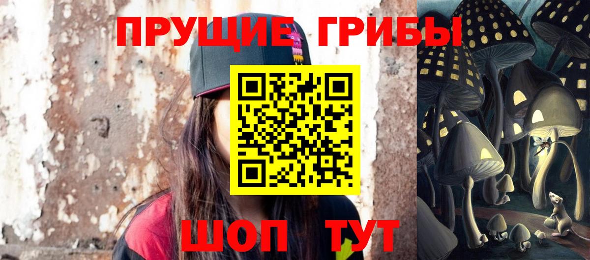Псилоцибиновые грибы Psilocybine cubensis  Вход с VPN  Псилоцибиновые грибы Magic Shrooms  сколько стоит  Волгоград 