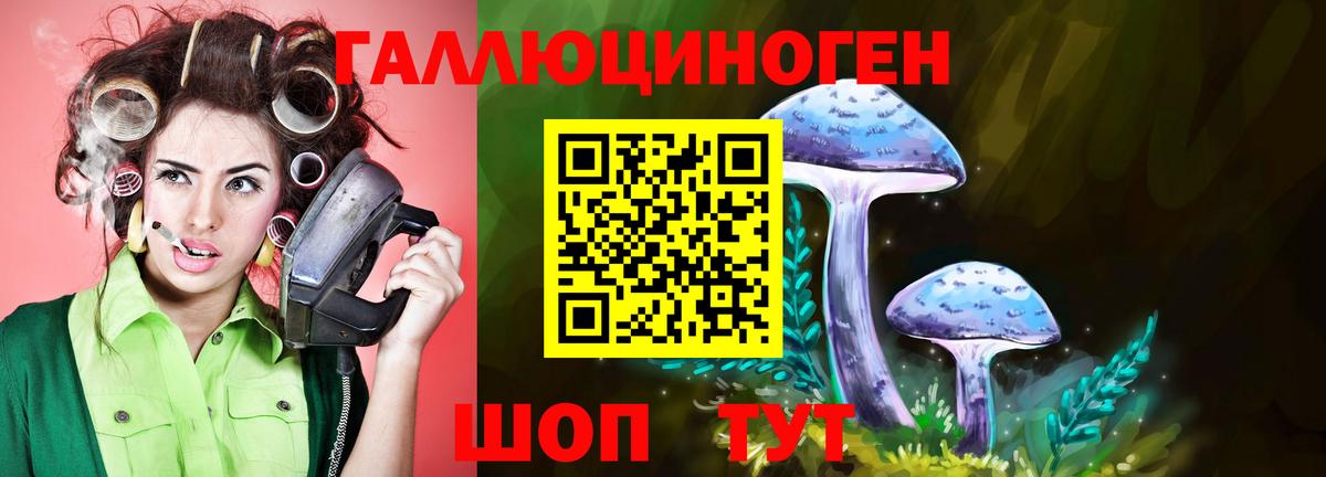 Галлюциногенные грибы мицелий Волгоград